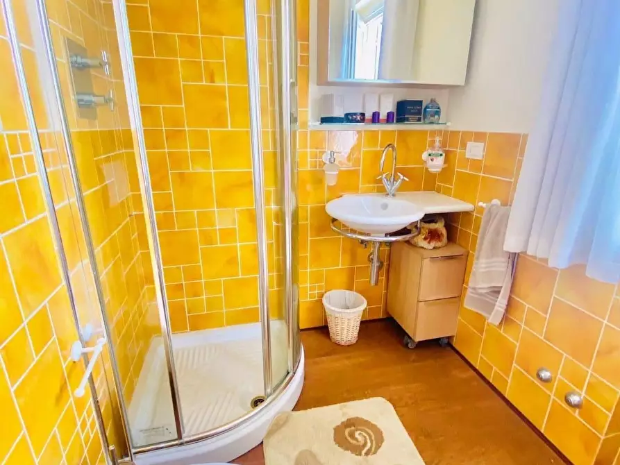 Immagine 13 di Villa in affitto  a Forte Dei Marmi