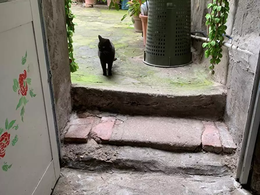 Immagine 25 di Appartamento in vendita  a Capannori