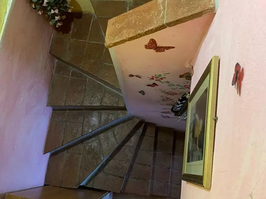 Immagine 16 di Appartamento in vendita  a Capannori