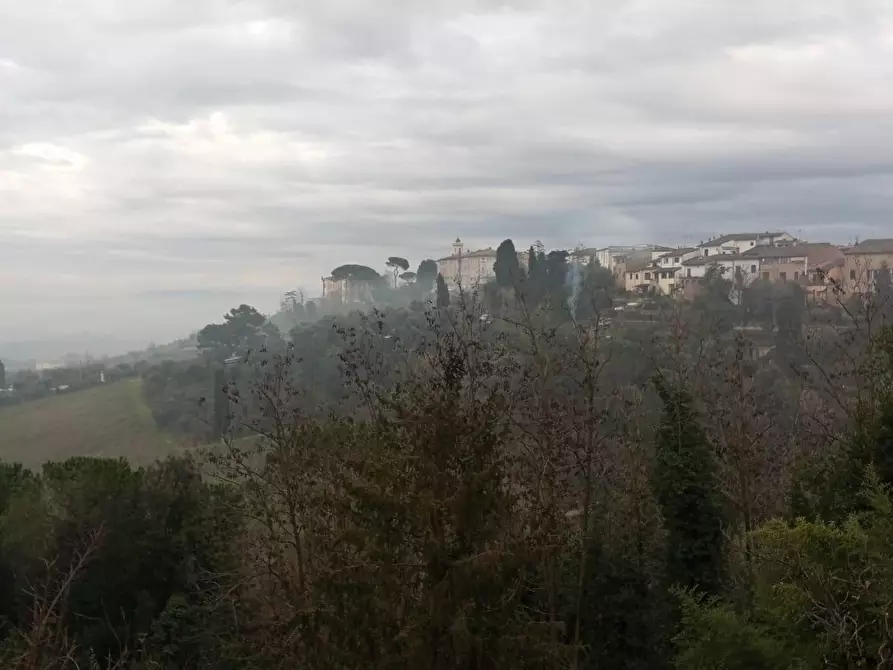 Immagine 17 di Appartamento in vendita  a San Miniato