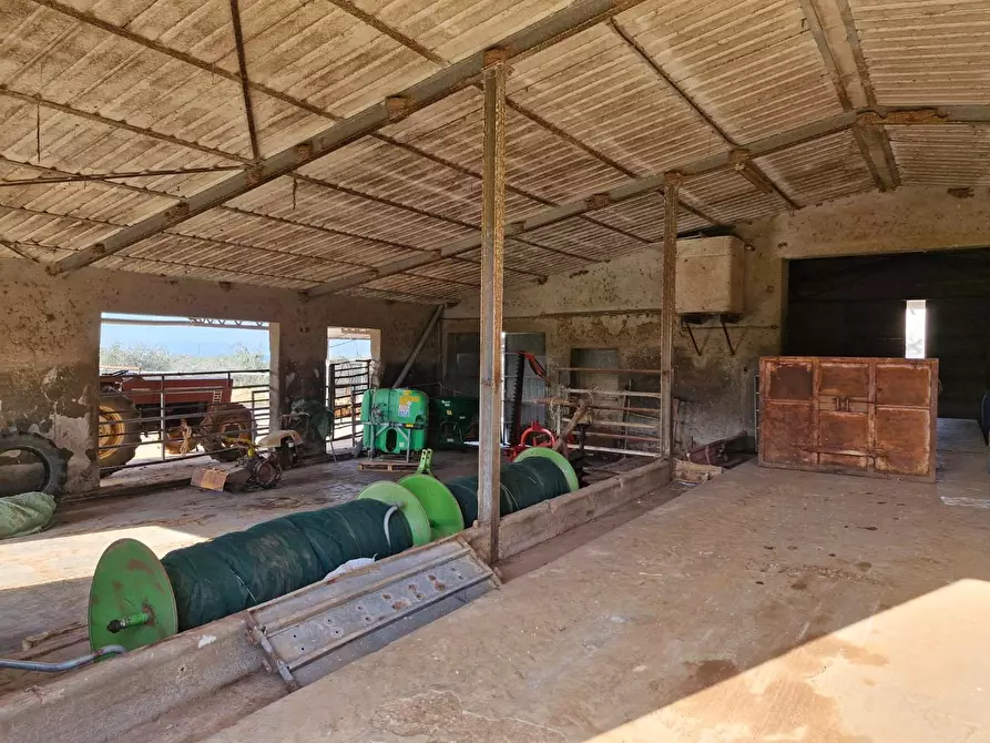 Immagine 16 di Casa colonica in vendita  a Campiglia Marittima