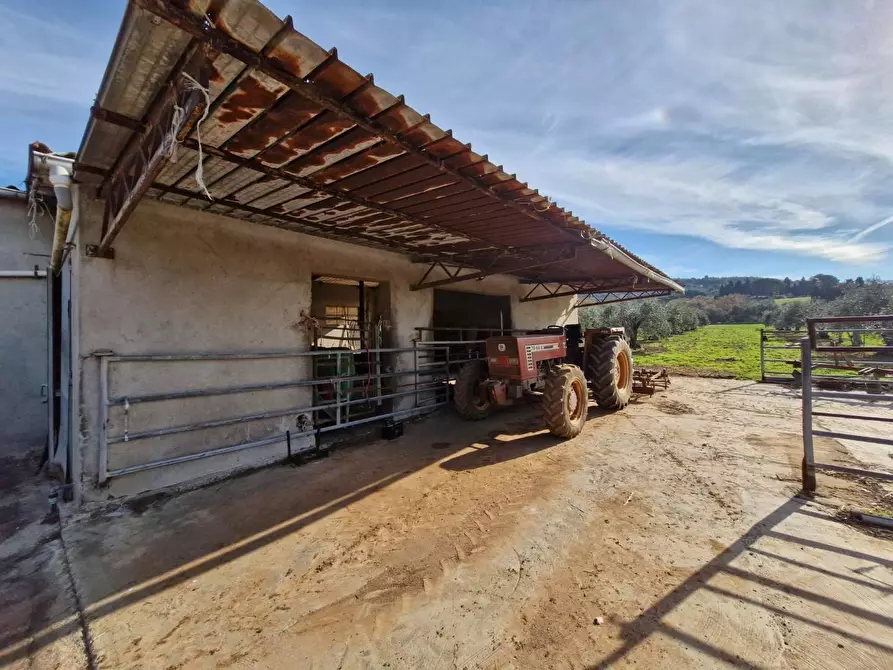 Immagine 10 di Casa colonica in vendita  a Campiglia Marittima