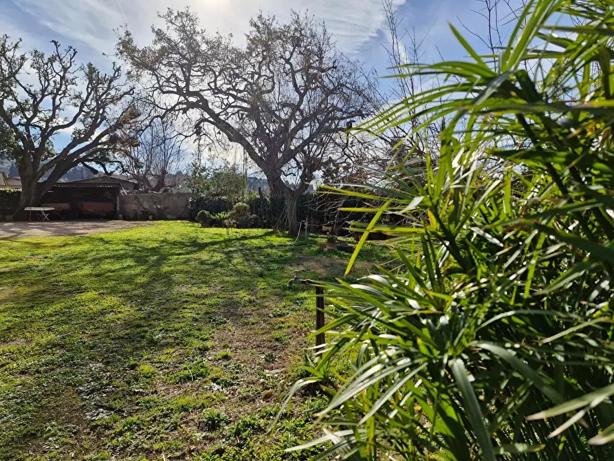 Immagine 20 di Casa colonica in vendita  a Campiglia Marittima
