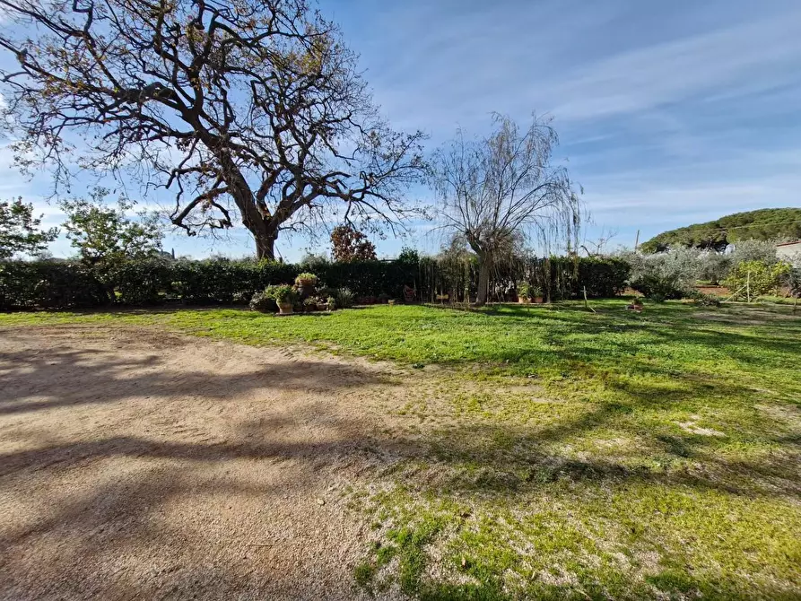Immagine 8 di Casa colonica in vendita  a Campiglia Marittima