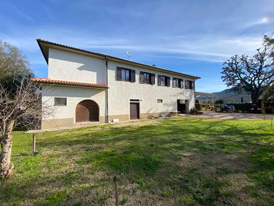 Immagine 2 di Casa colonica in vendita  a Campiglia Marittima