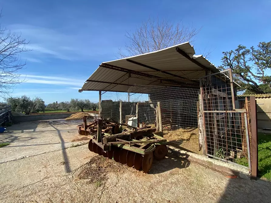 Immagine 7 di Casa colonica in vendita  a Campiglia Marittima