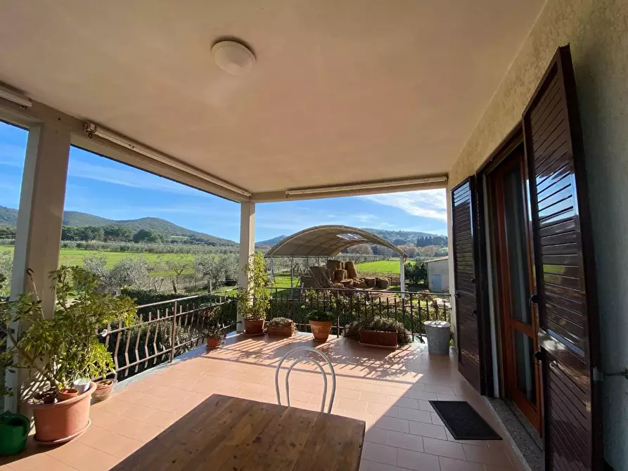 Immagine 46 di Casa colonica in vendita  a Campiglia Marittima