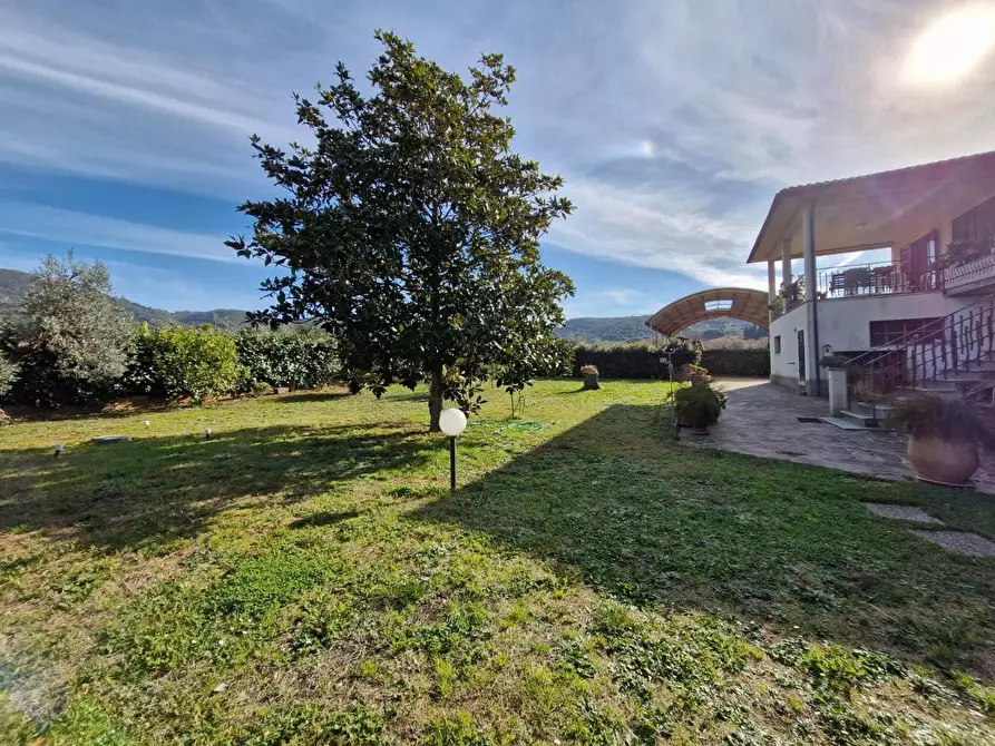 Immagine 24 di Casa colonica in vendita  a Campiglia Marittima