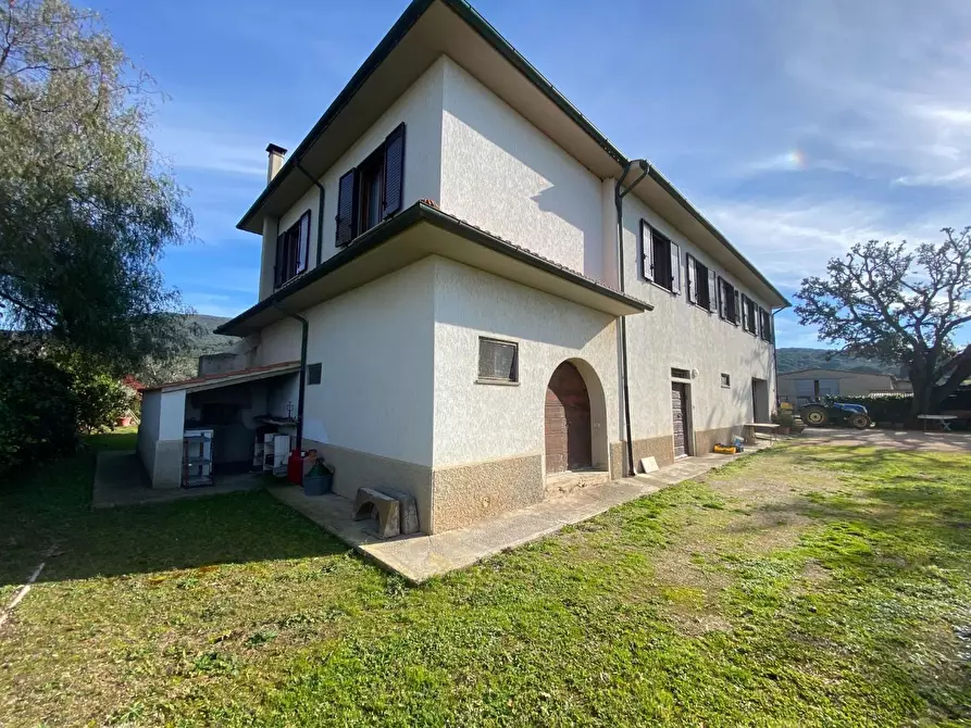 Immagine 4 di Casa colonica in vendita  a Campiglia Marittima