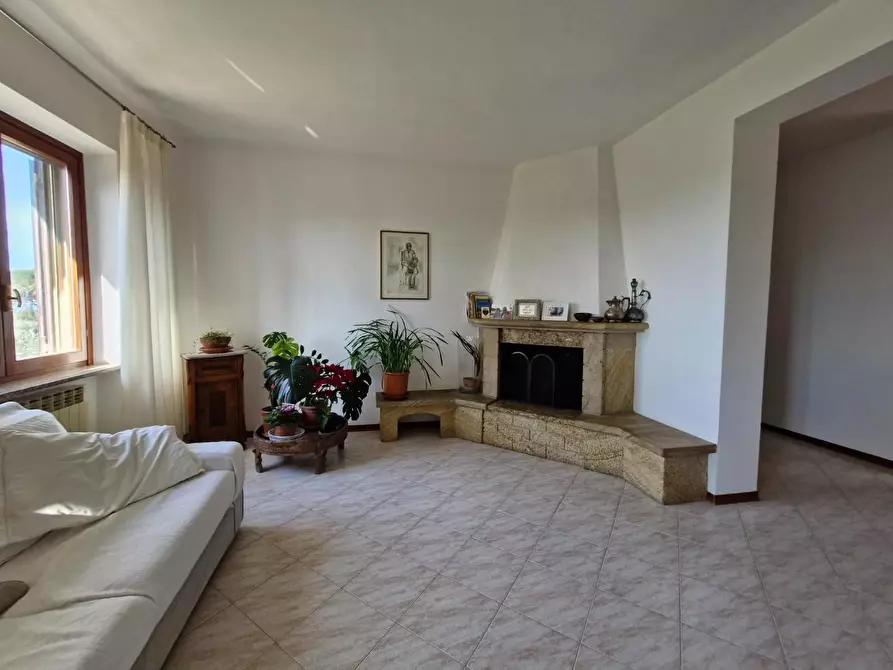 Immagine 34 di Casa colonica in vendita  a Campiglia Marittima