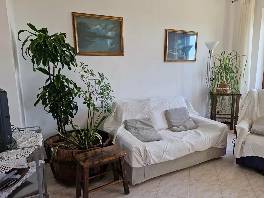 Immagine 31 di Casa colonica in vendita  a Campiglia Marittima