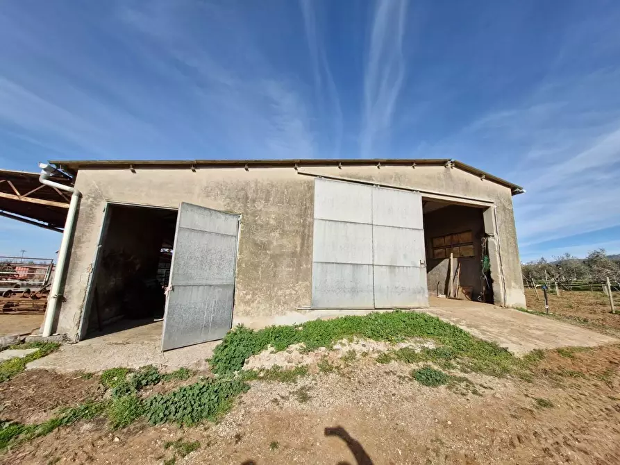 Immagine 14 di Casa colonica in vendita  a Campiglia Marittima