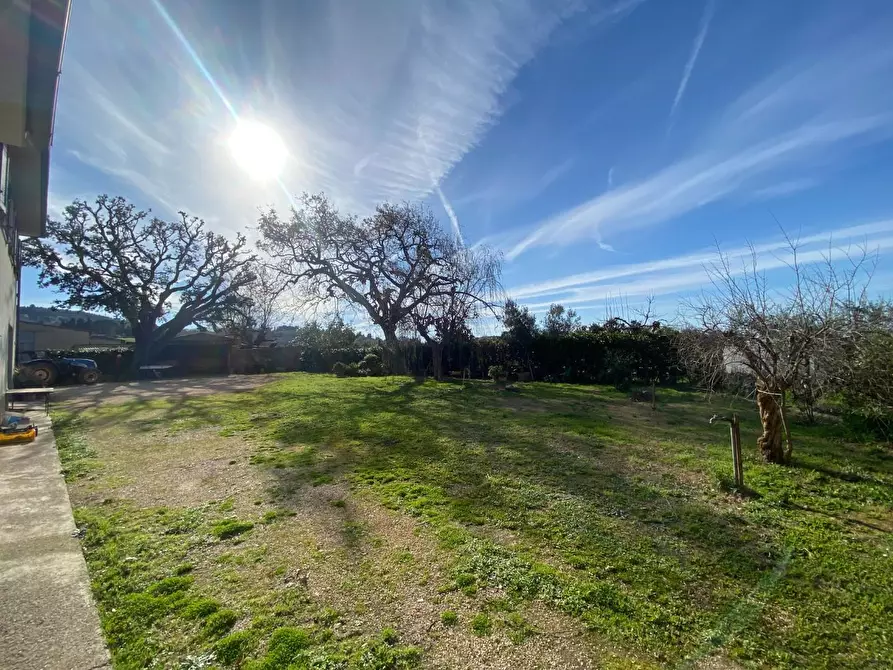 Immagine 3 di Casa colonica in vendita  a Campiglia Marittima