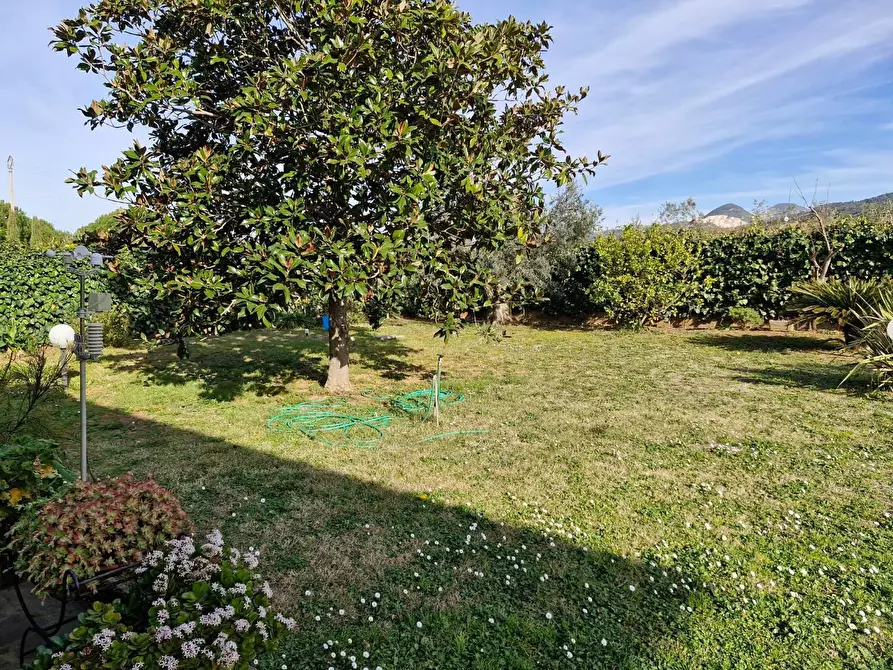 Immagine 22 di Casa colonica in vendita  a Campiglia Marittima