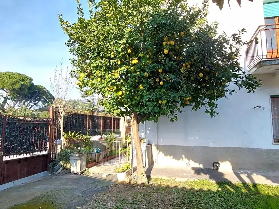 Immagine 6 di Casa bifamiliare in vendita  a Carrara