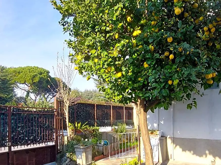 Immagine 4 di Casa bifamiliare in vendita  a Carrara