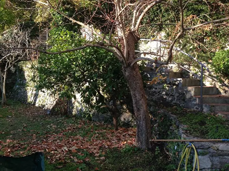 Immagine 11 di Casa semindipendente in vendita  a Ameglia
