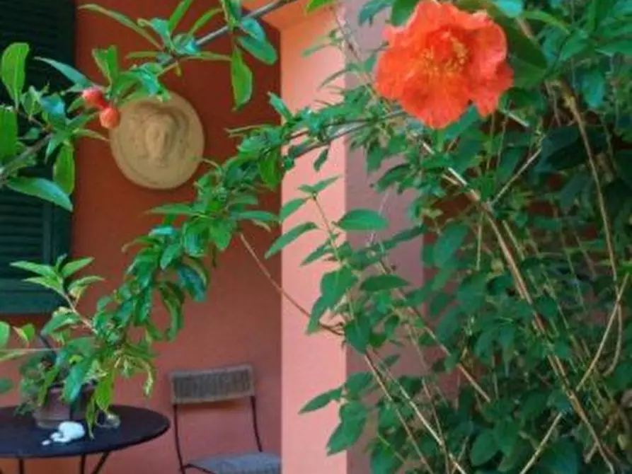 Immagine 17 di Villa in vendita  a Carrara