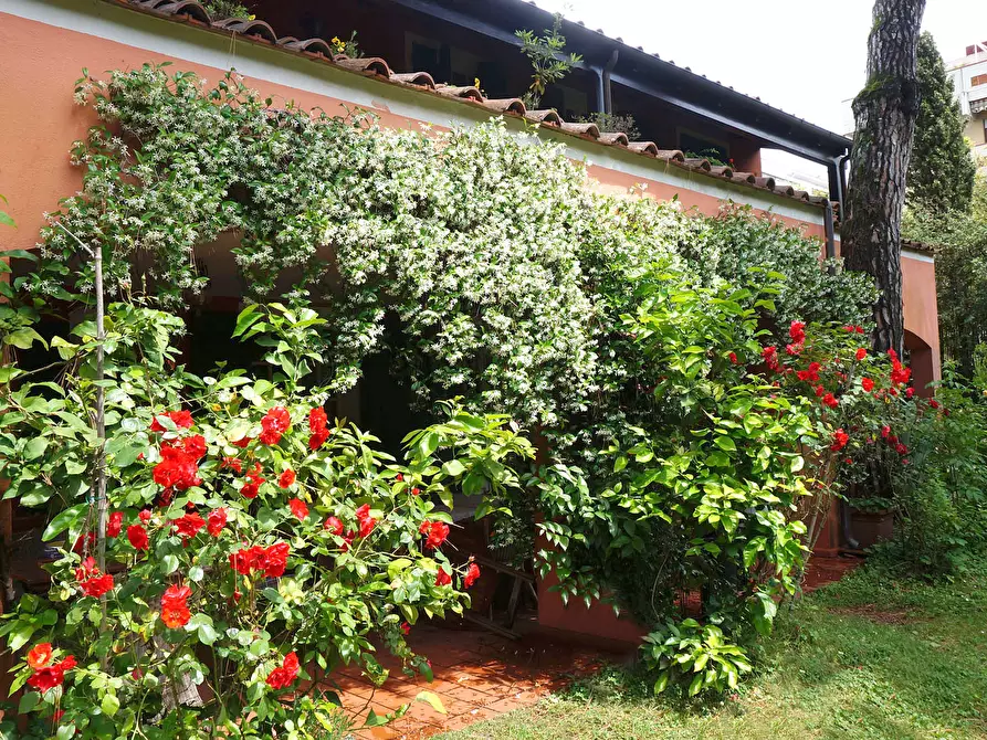 Immagine 6 di Villa in vendita  a Carrara