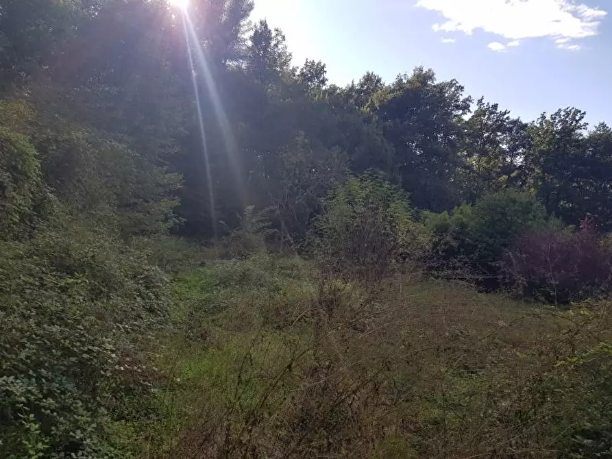 Immagine 2 di Rustico / casale in vendita  a Lerici