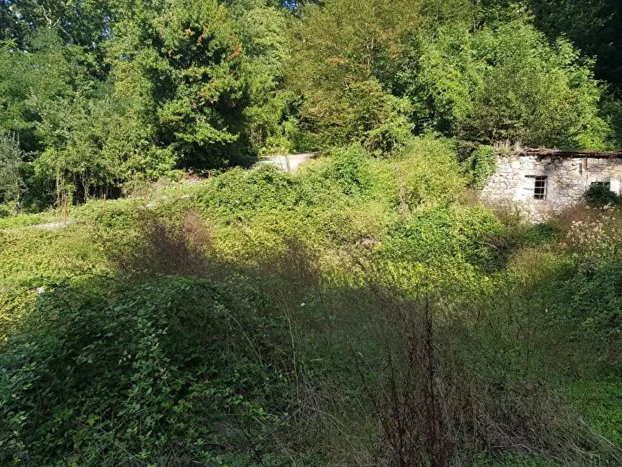 Immagine 4 di Rustico / casale in vendita  a Lerici