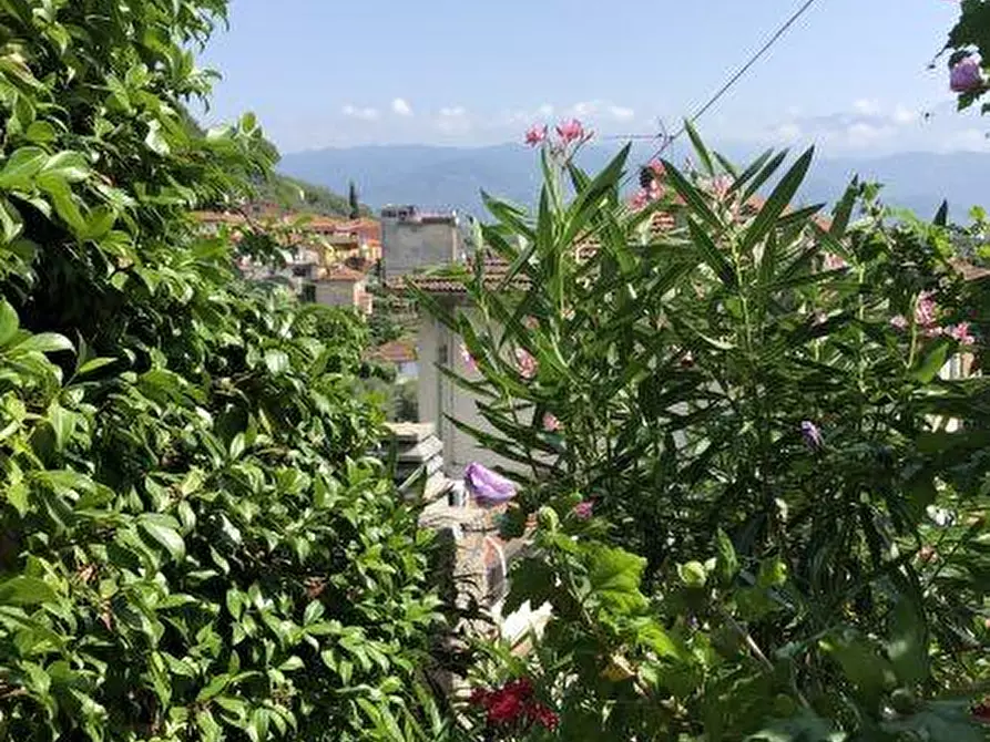 Immagine 25 di Casa indipendente in vendita  a Ameglia