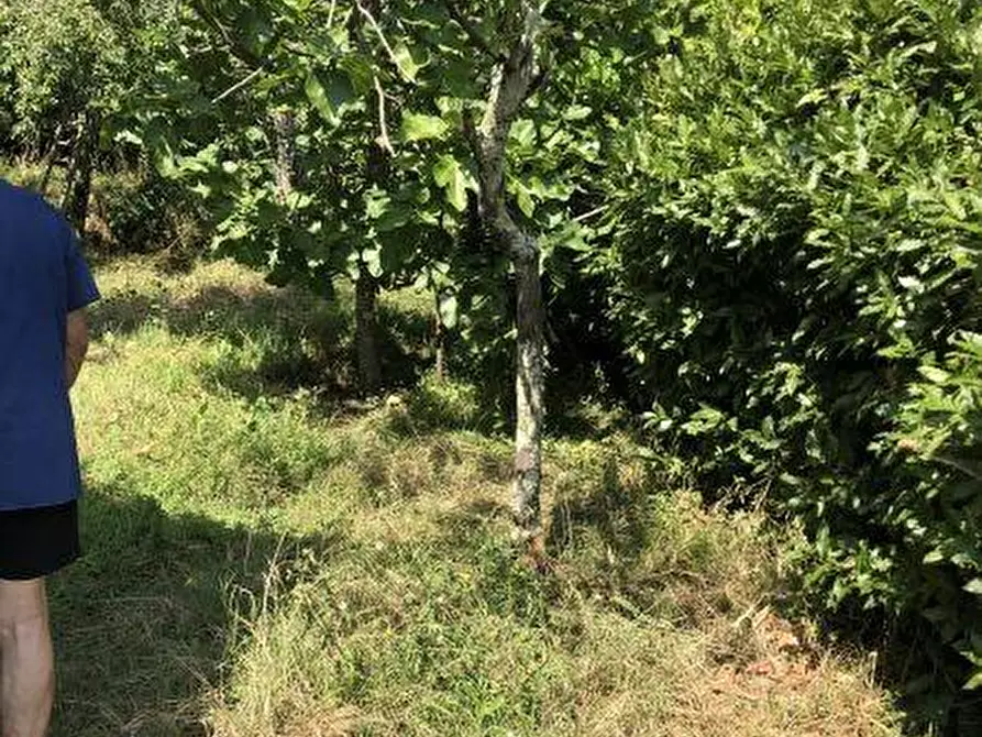 Immagine 33 di Casa indipendente in vendita  a Ameglia