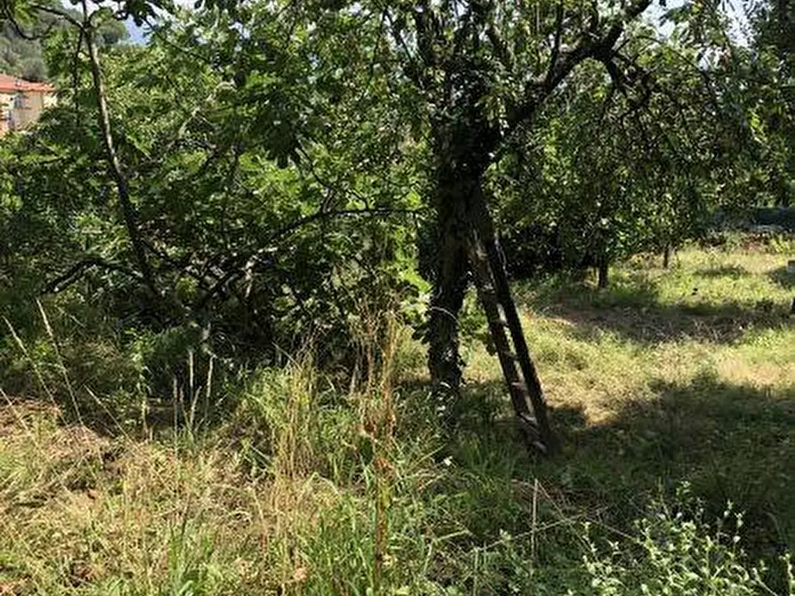 Immagine 32 di Casa indipendente in vendita  a Ameglia
