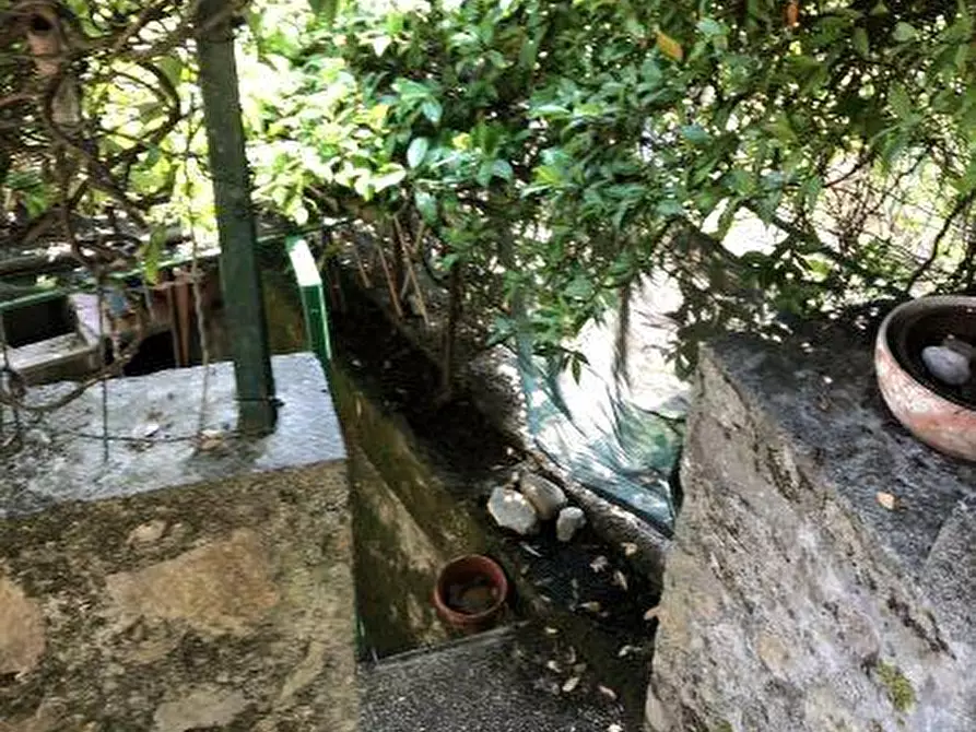 Immagine 21 di Casa indipendente in vendita  a Ameglia