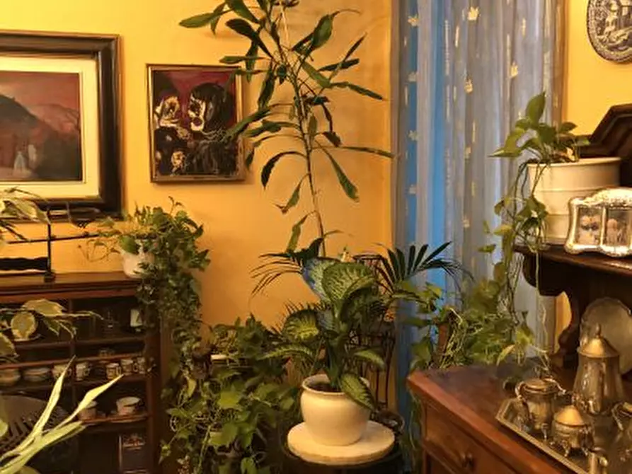 Immagine 7 di Appartamento in vendita  a Sarzana