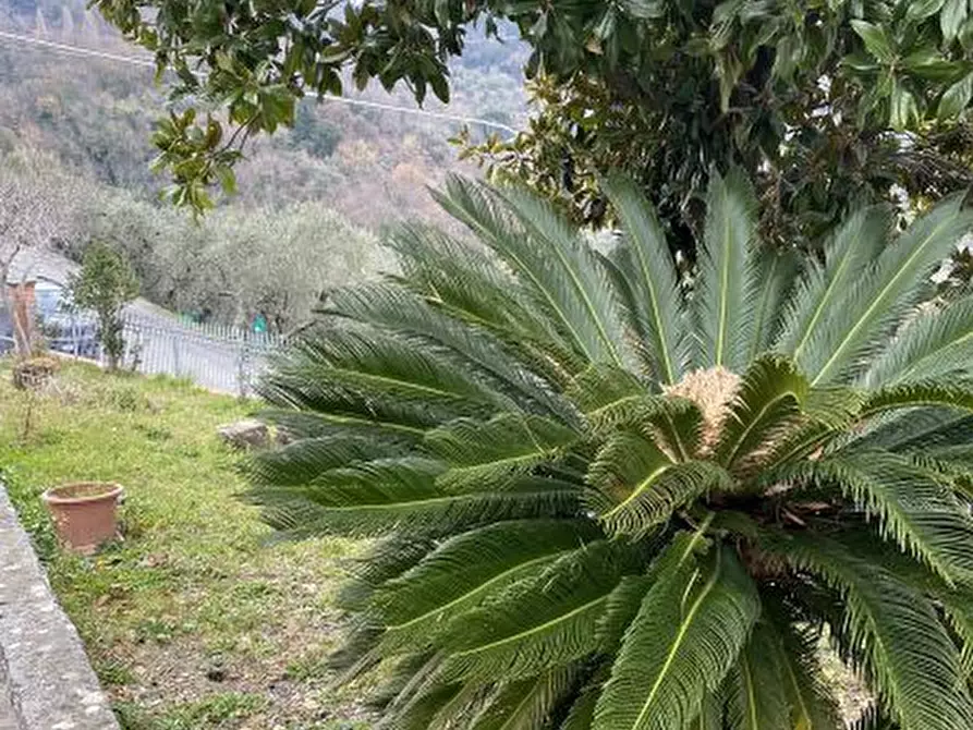 Immagine 20 di Casa indipendente in vendita  a Sarzana