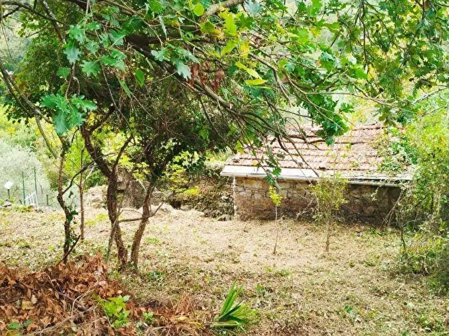 Immagine 8 di Rustico / casale in vendita  a Lerici