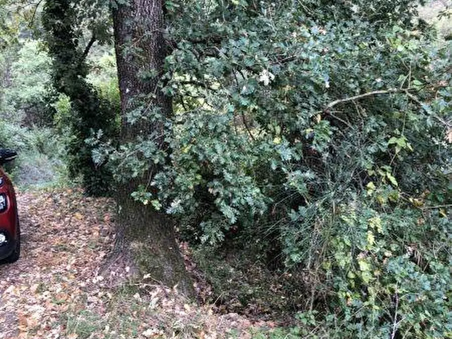 Immagine 10 di Rustico / casale in vendita  a Lerici