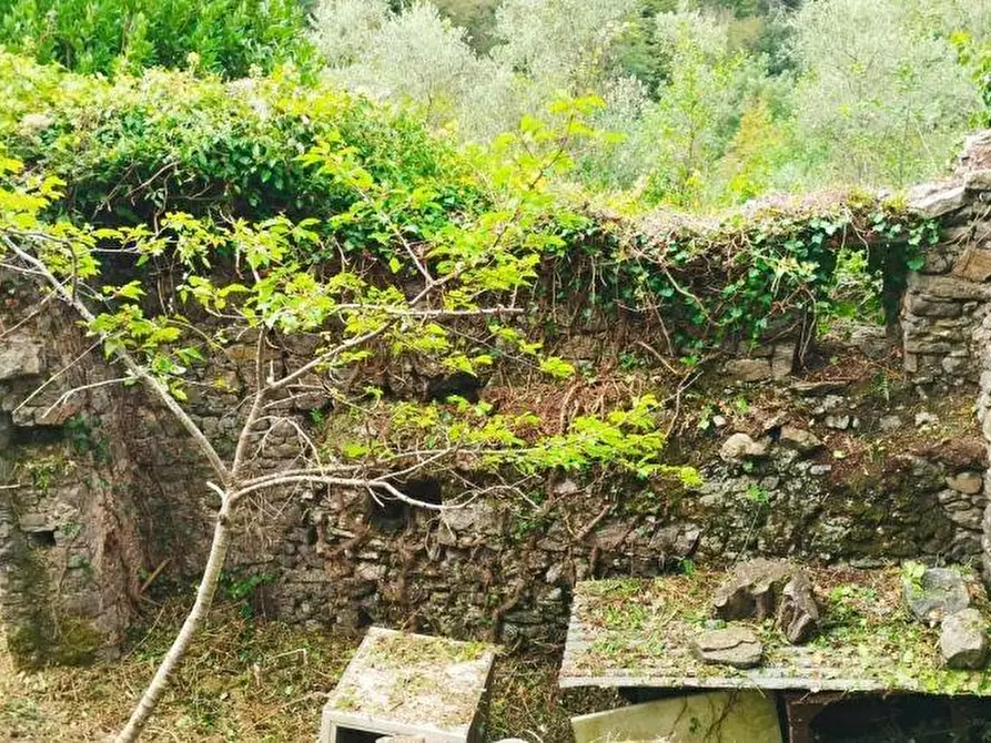 Immagine 7 di Rustico / casale in vendita  a Lerici