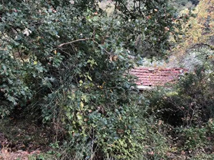 Immagine 11 di Rustico / casale in vendita  a Lerici