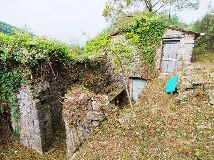 Immagine 3 di Rustico / casale in vendita  a Lerici