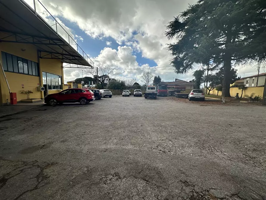 Immagine 2 di Capannone industriale in vendita  a Massa