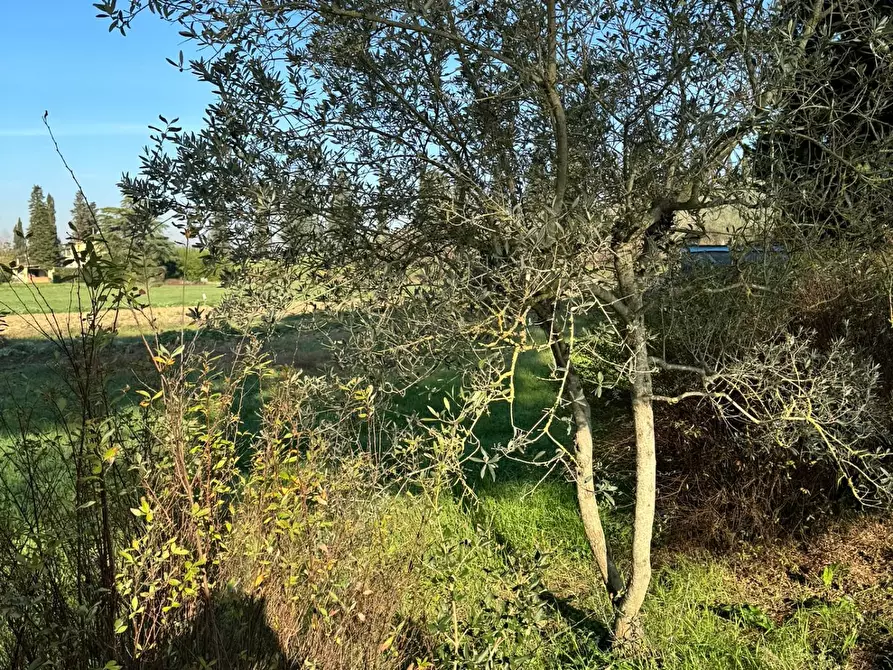 Immagine 37 di Villa in vendita  a Empoli