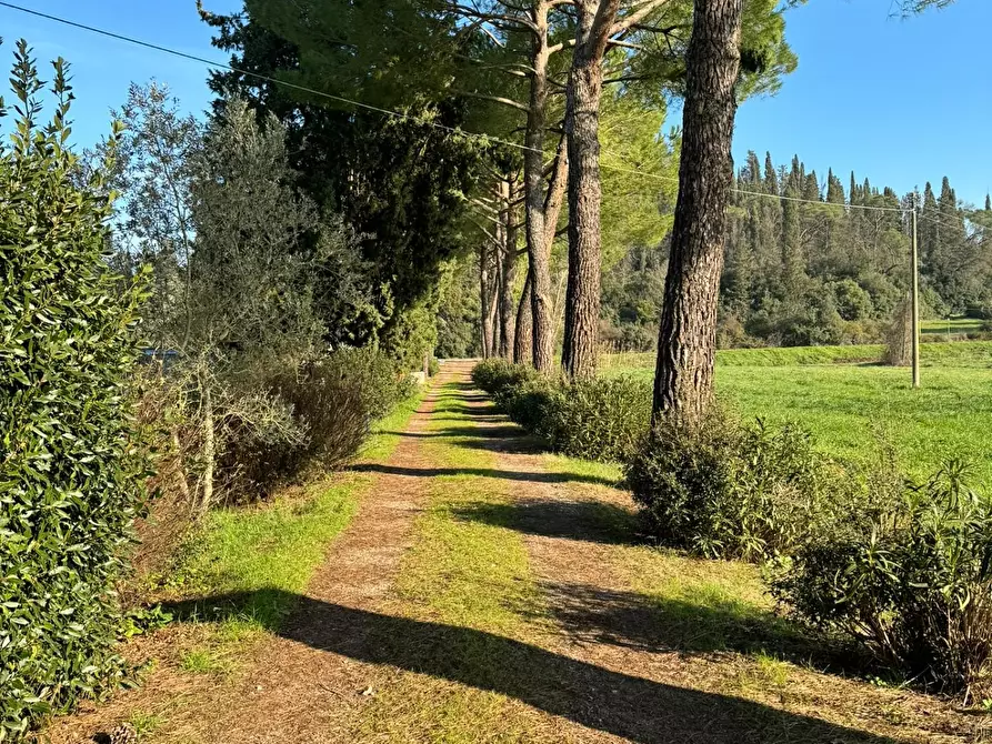 Immagine 33 di Villa in vendita  a Empoli