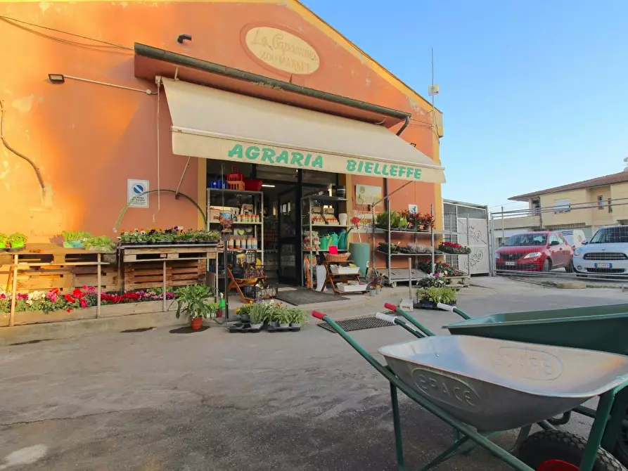 Immagine 1 di Negozio in vendita  a Casciana Terme Lari