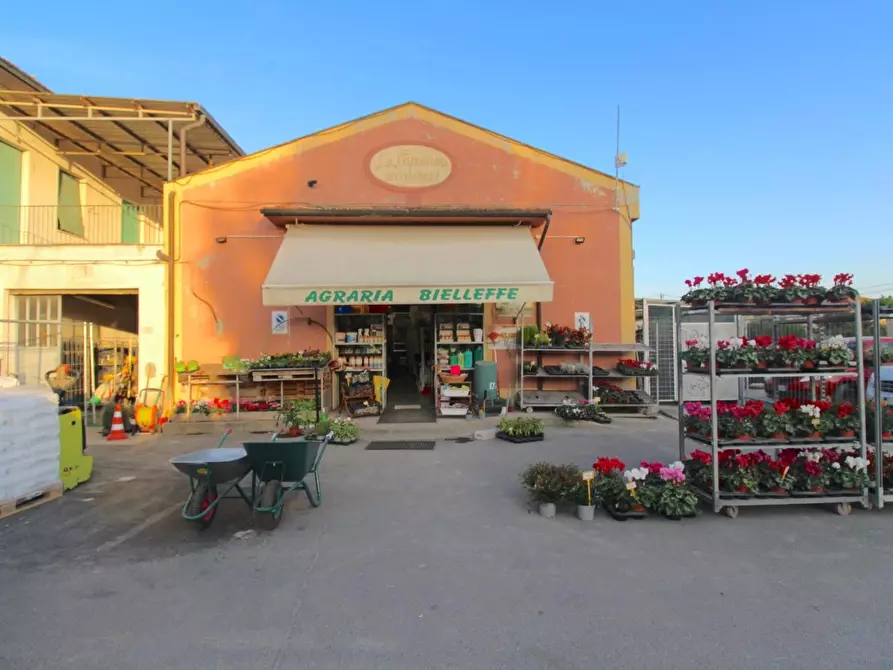 Immagine 1 di Negozio in vendita  a Casciana Terme Lari