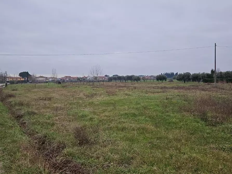 Immagine 2 di Terreno agricolo in vendita  a Cascina