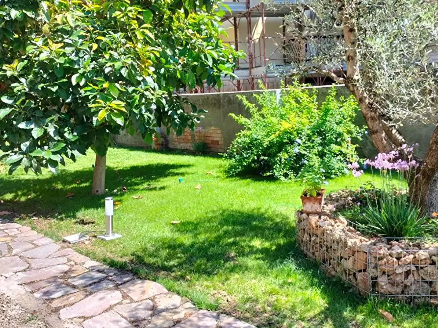 Immagine 19 di Appartamento in vendita  a Grosseto