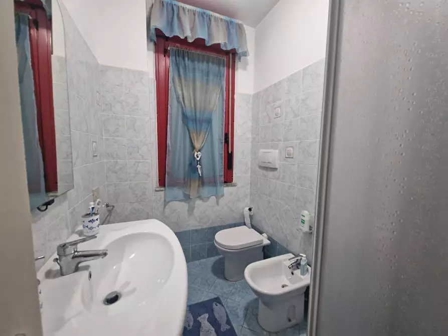 Immagine 14 di Appartamento in vendita  a Rosignano Marittimo