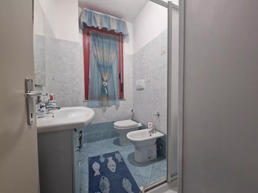 Immagine 11 di Appartamento in vendita  a Rosignano Marittimo