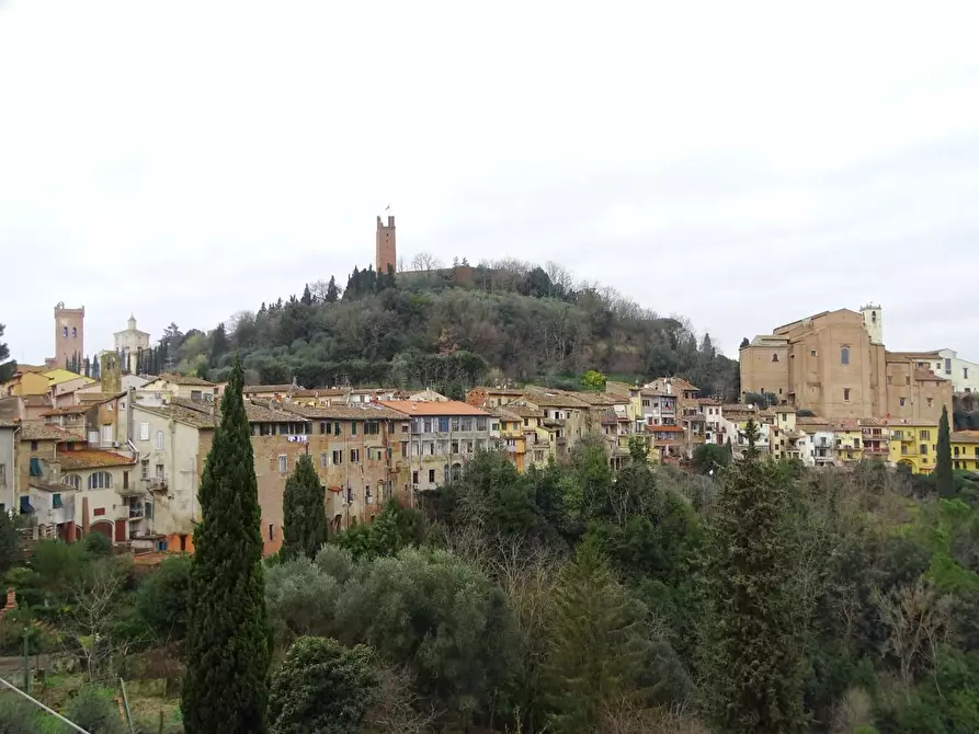 Immagine 38 di Appartamento in affitto  a San Miniato