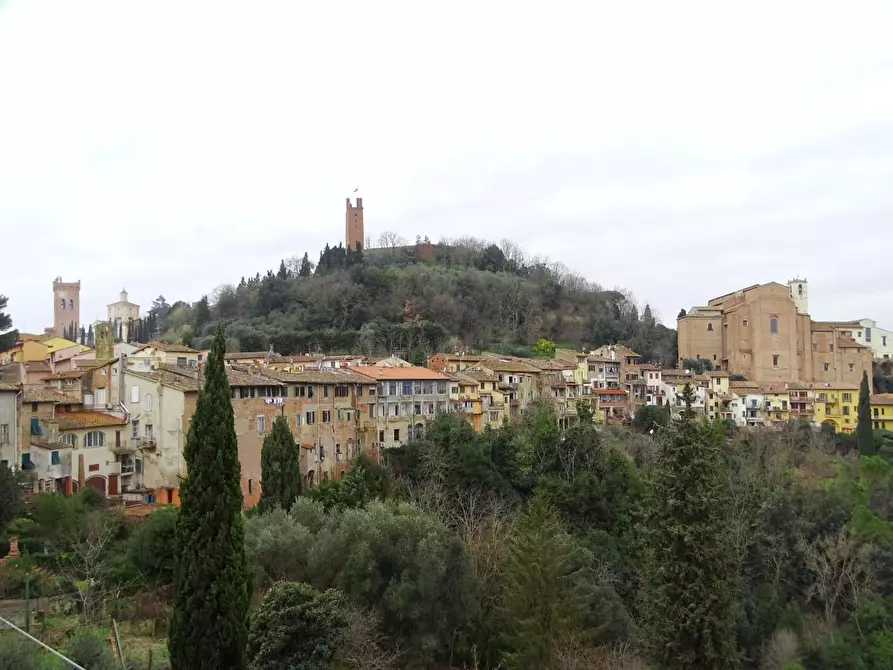 Immagine 23 di Appartamento in affitto  a San Miniato