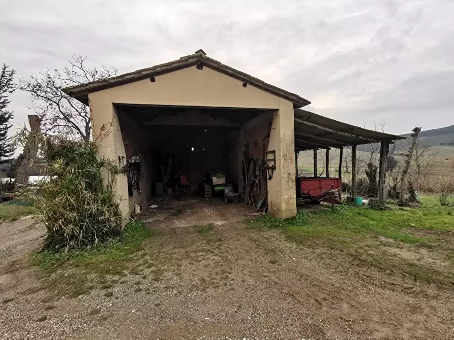 Immagine 3 di Casa colonica in vendita  a Cerreto Guidi
