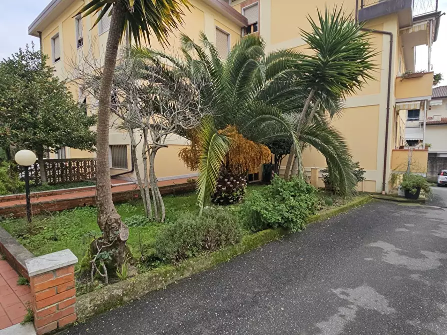 Immagine 2 di Appartamento in vendita  a Carrara