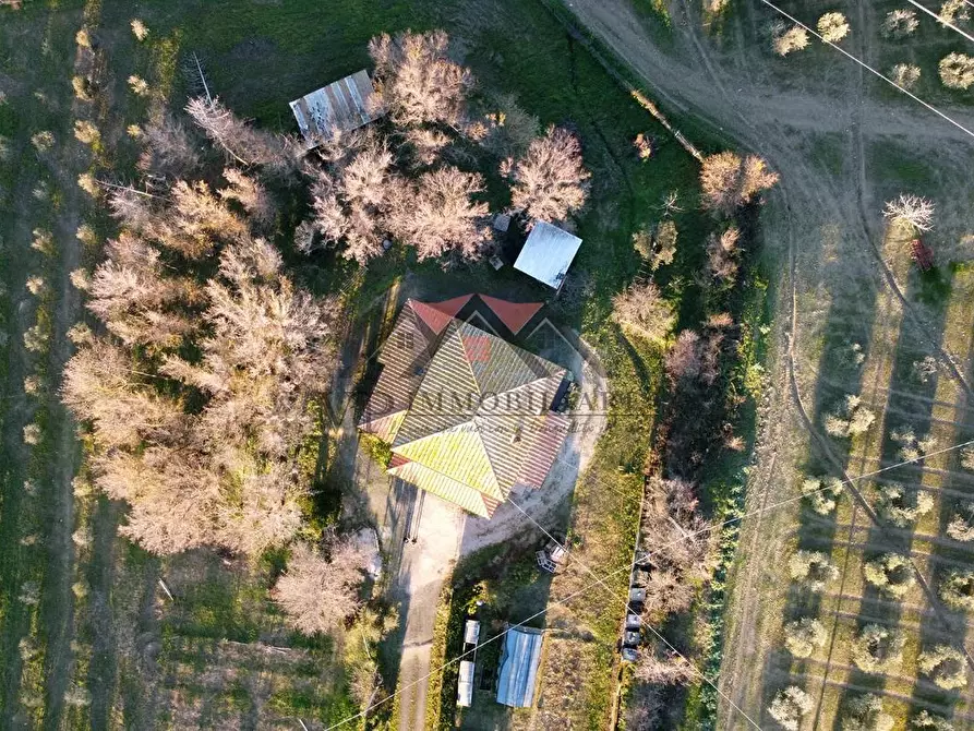 Immagine 10 di Casa indipendente in vendita  a Pomarance